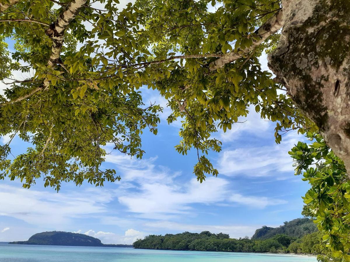 Nohe Ocean View Beach Bungalows Hog Harbour Bagian luar foto